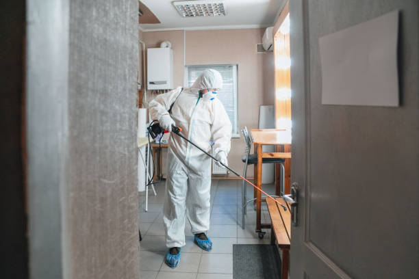 Forensic Mold Investigation in Licking, MO